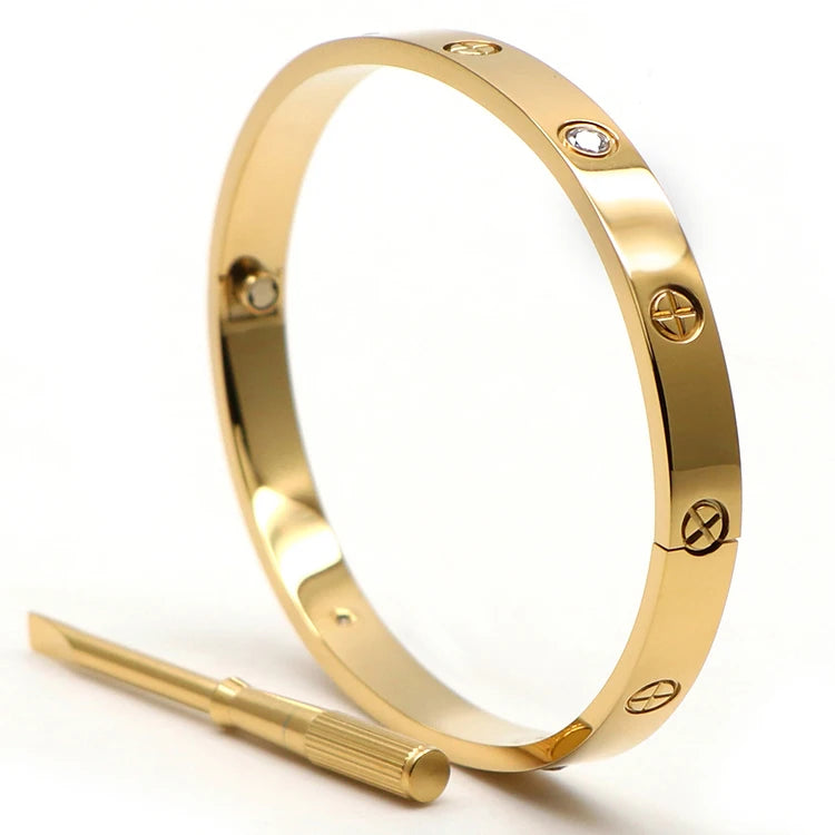 Luxury Brand Jewelry Fashion Stainless Steel Charm Luxury Jewelry LOVE Bangle SCREW Cartierred Bracelets